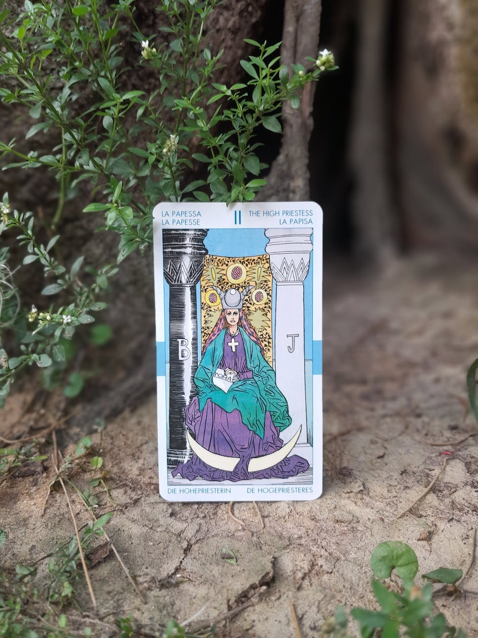 tarot card the high priestess