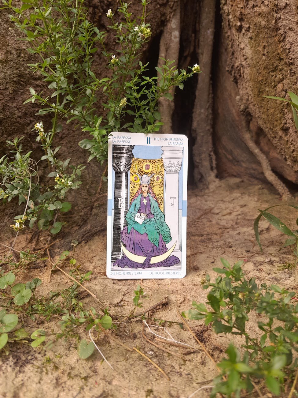 the high priestess tarot card